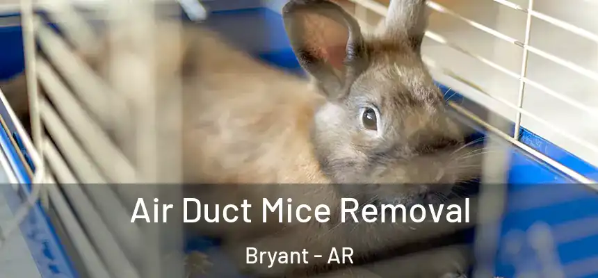  Air Duct Mice Removal Bryant - AR