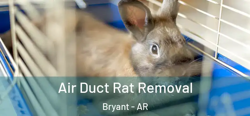 Air Duct Rat Removal Bryant - AR