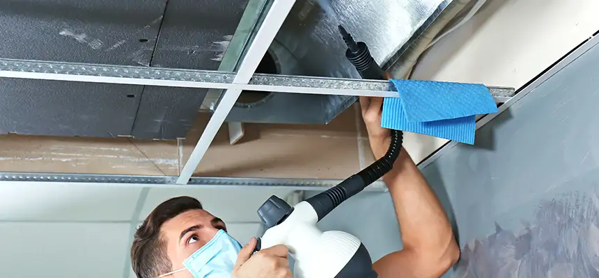 Our Air Duct Rodent Removal Services in Bryant, AR