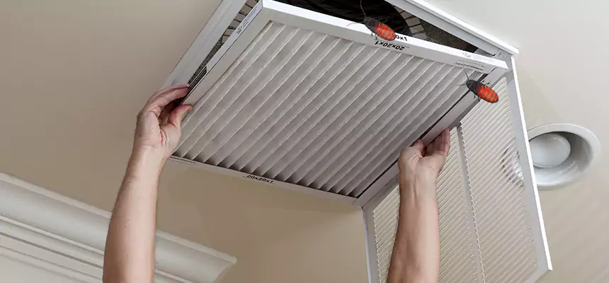 Our Insect Removal from Air Ducts Services in Bryant, AR
