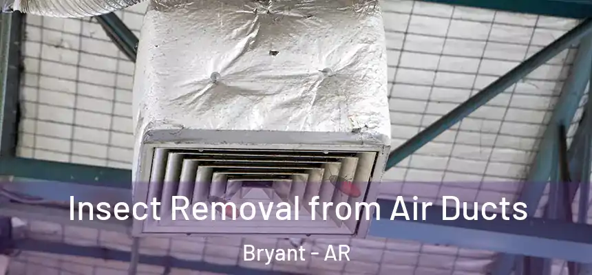 Insect Removal from Air Ducts Bryant - AR