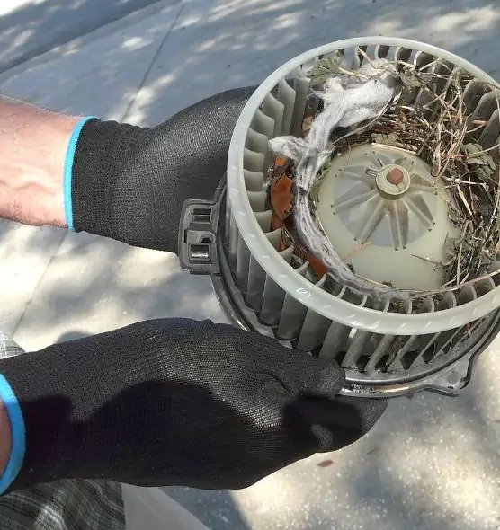 About Air Duct Mice Removal in Bryant, AR