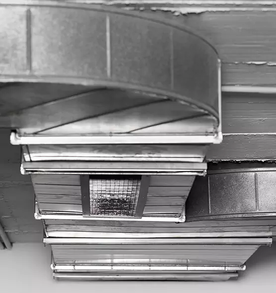 Professional Air Duct Pest Removal in Bryant, AR