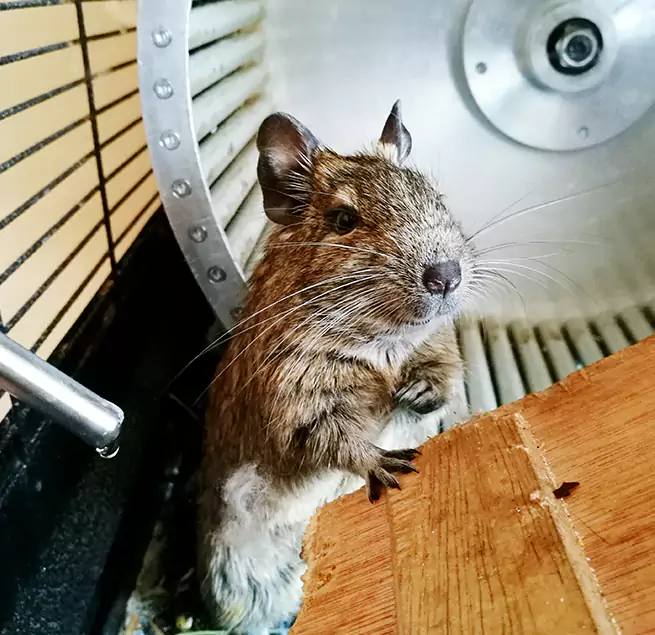 Why Homeowners & Businesses Trust Us Bryant, AR