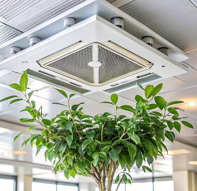 Why Homeowners & Businesses Trust Us in Bryant, AR?